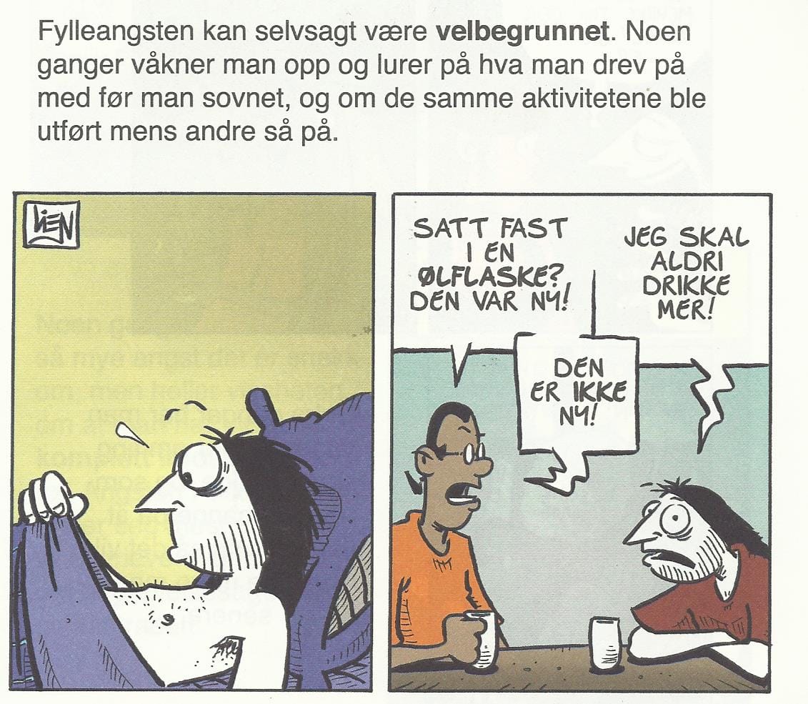 Festlig og fyldig sommer 4 Kollektivet bok02