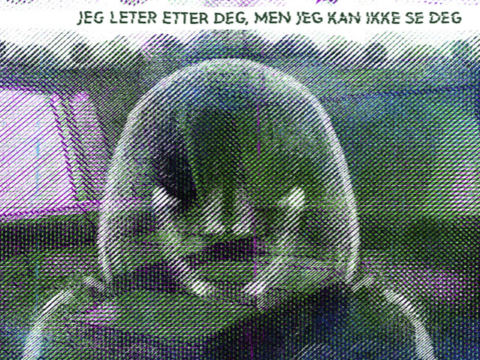 0 Svanger front 02 e1776421968469